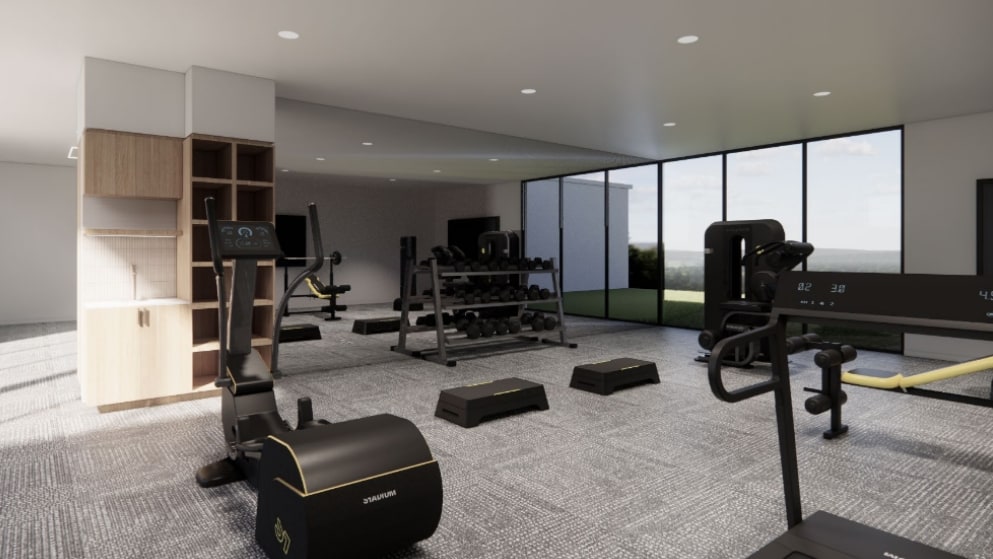 Lvs render gym